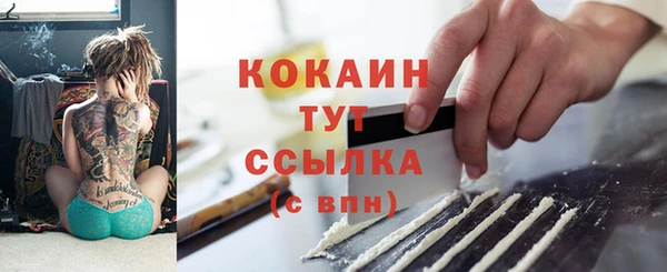 прущие грибы Михайловка