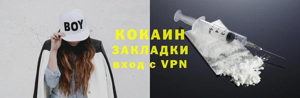 прущие грибы Михайловка