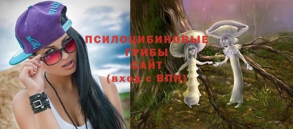 прущие грибы Михайловка
