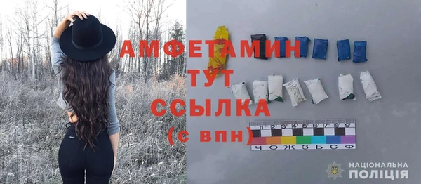 прущие грибы Михайловка