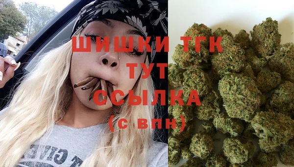 дурь Няндома