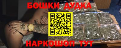 МДПВ Камышлов