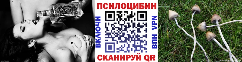 хочу наркоту  блэк спрут сайт  Псилоцибиновые грибы Magic Shrooms  Тавда 