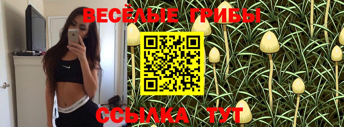 купить  сайты  Псилоцибиновые грибы Psilocybe  Вход с VPN  Тавда 